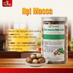 Hạt Macca Đặc Sản Miền Trung
