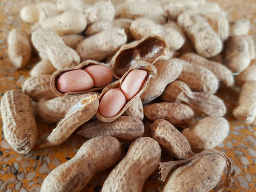 Đậu Phộng Rang Tỏi Ớt Cay Đặc Sản Miền Nam - Ảnh 2